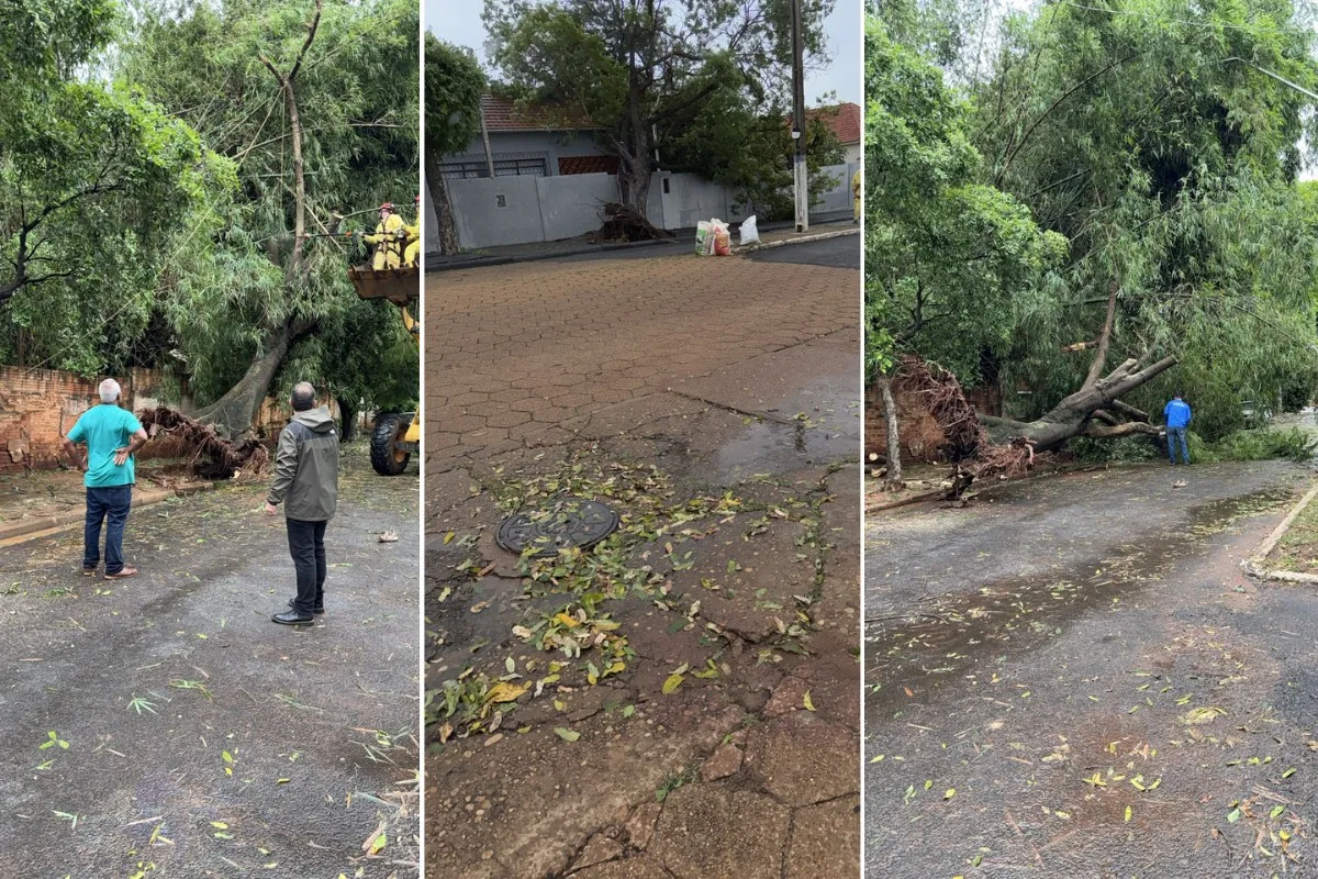 Presidente Epitácio mobiliza órgãos municipais após temporal