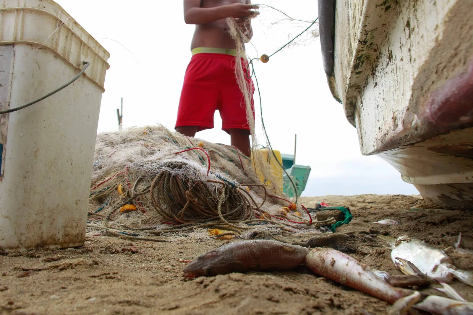 El Niño afasta peixes e reduz renda de pescadores no Pacífico oriental