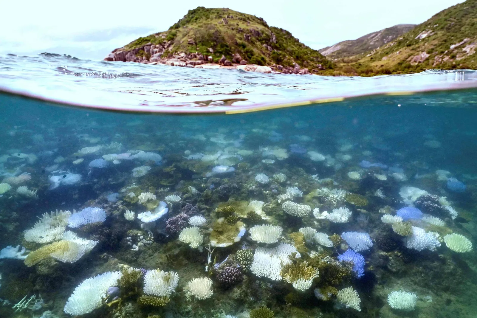 Oceanos mais quentes pressionam pesca, turismo e infraestrutura energética
