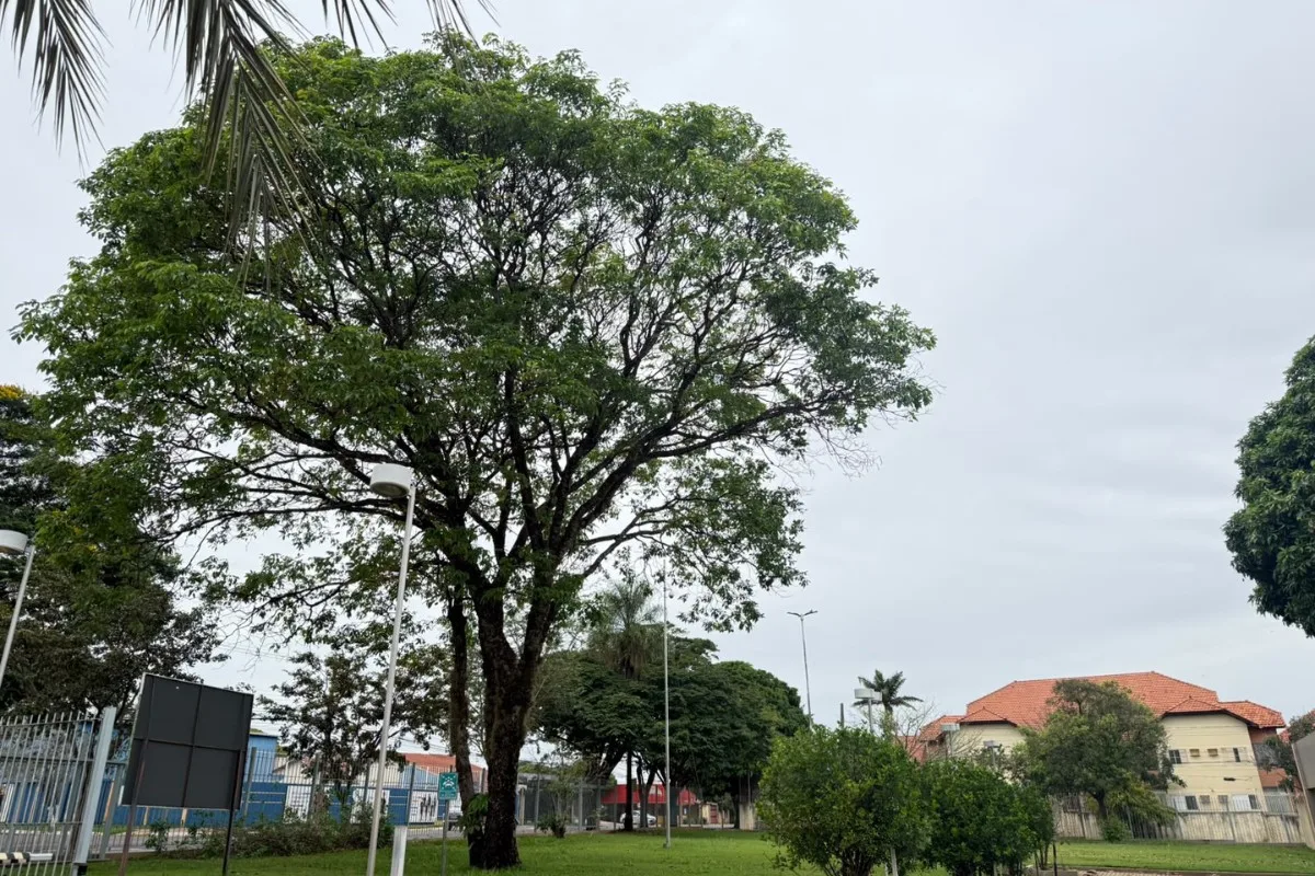 Mato Grosso do Sul terá frio mais intenso e mínimas de 10°C no feriado