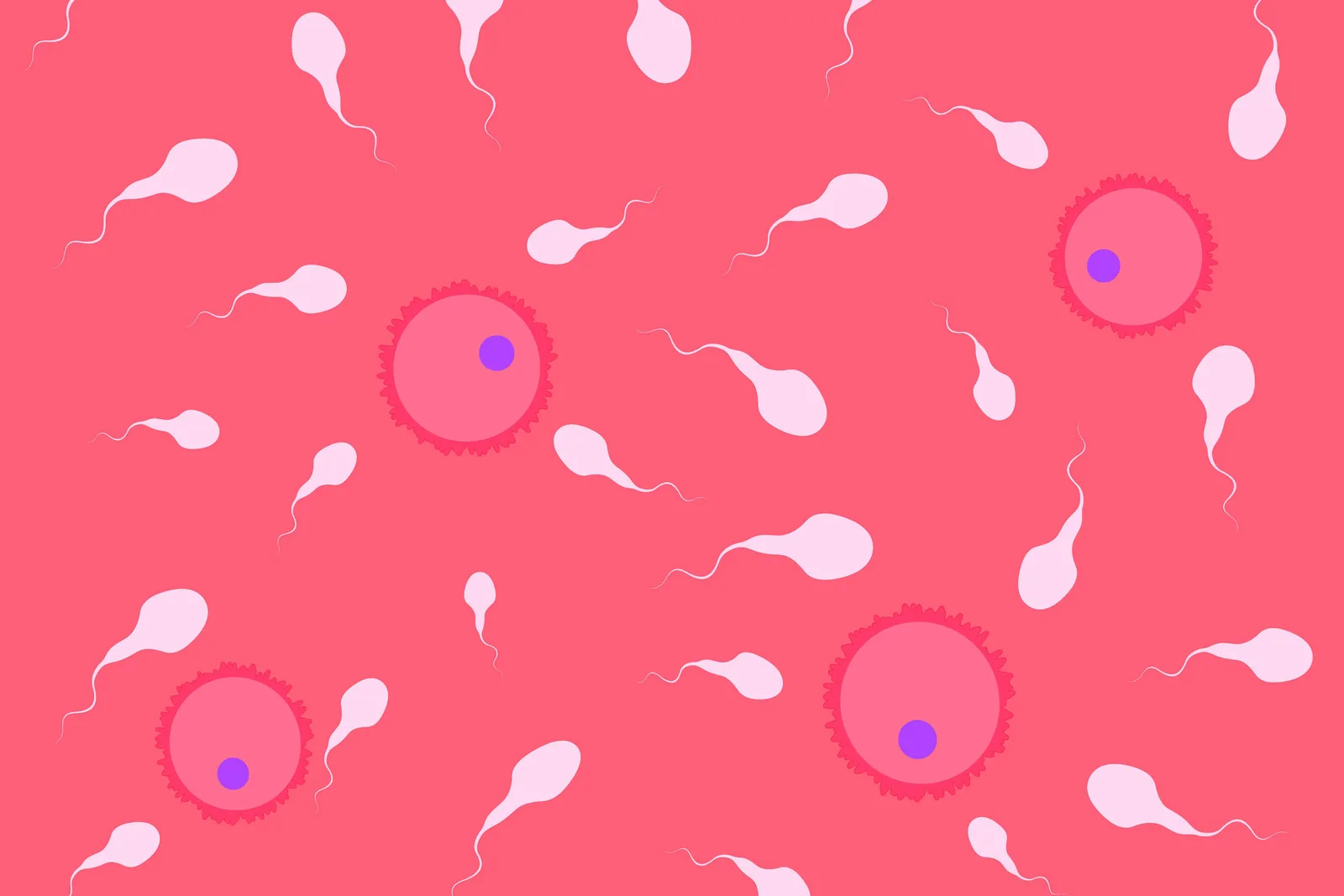 Queda na contagem de espermatozoides amplia alerta sobre fertilidade masculina