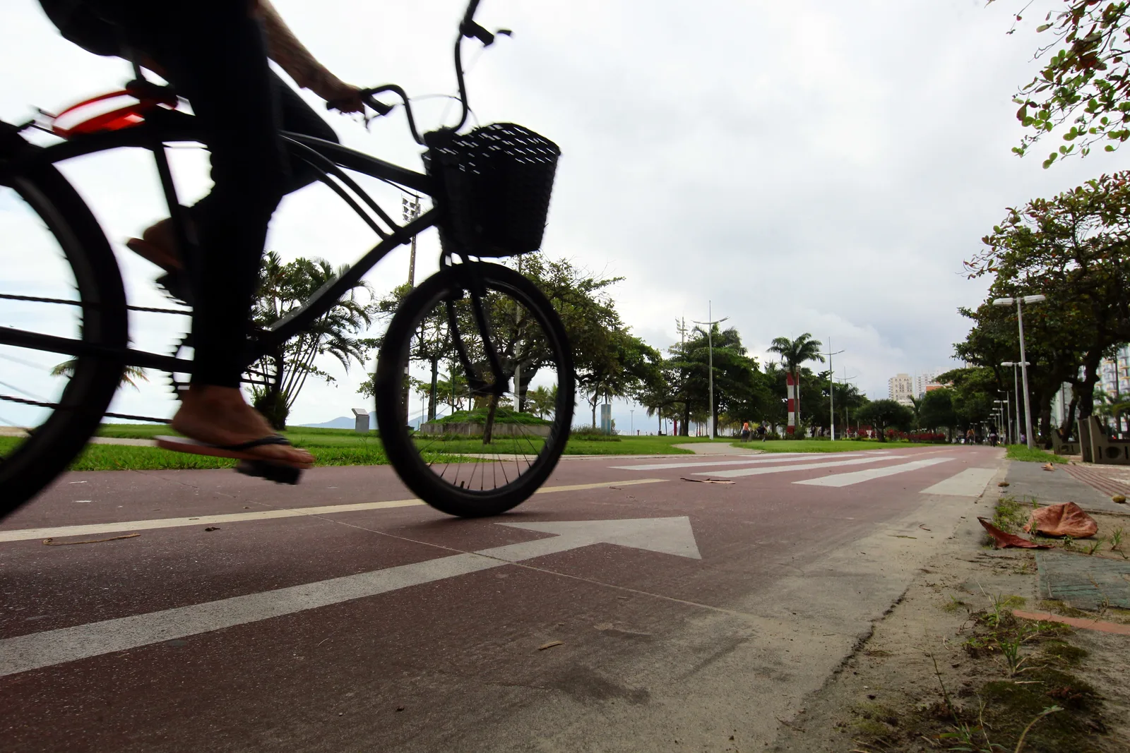 Ciclista é agredido após cobrar pais de crianças em ciclovia de Santos