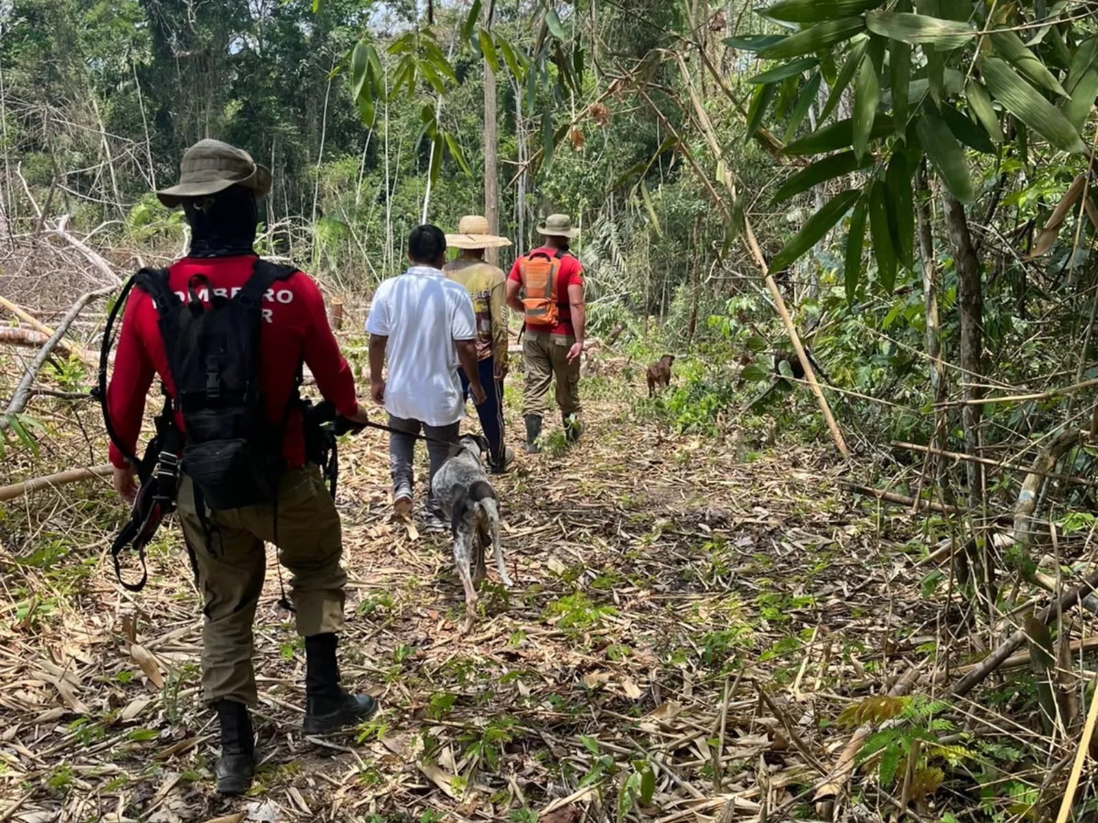 Bombeiros procuram bebê desaparecida com cães farejadores no Acre