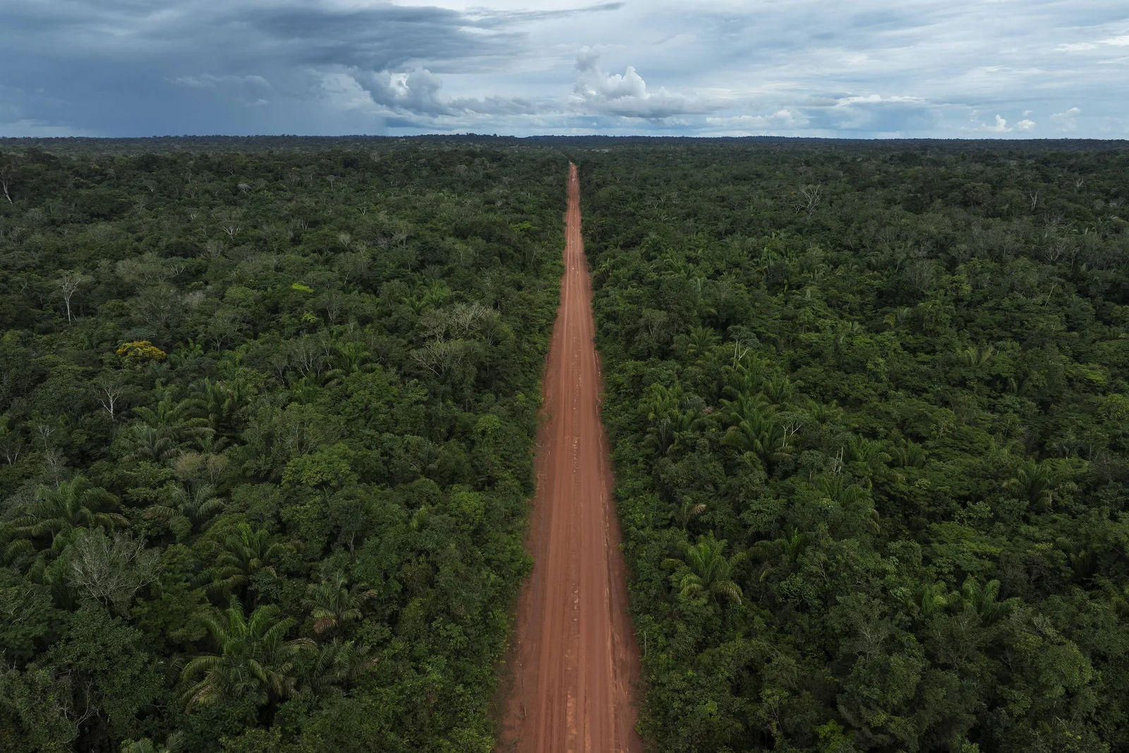 Eleição pode afetar continuidade do Fundo Florestas Tropicais para Sempre