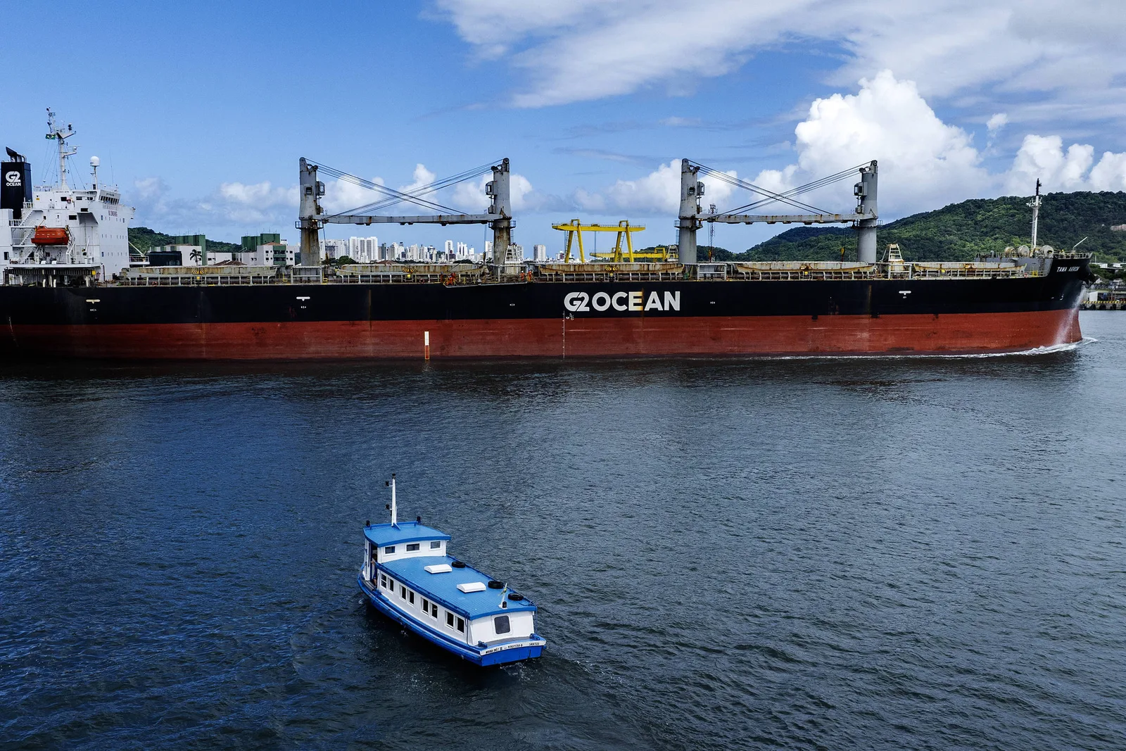 Cade amplia investigação sobre MSC e Maersk na disputa pelo Tecon 10