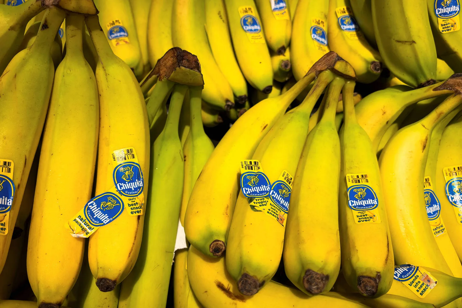 Guerra no Irã eleva custos e pressiona cadeia de bananas nos EUA