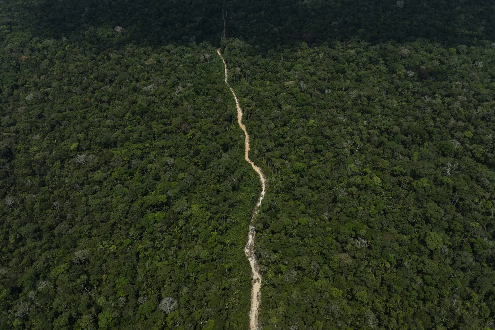 Setores pedem que STF defina validade da nova lei de licenciamento ambiental