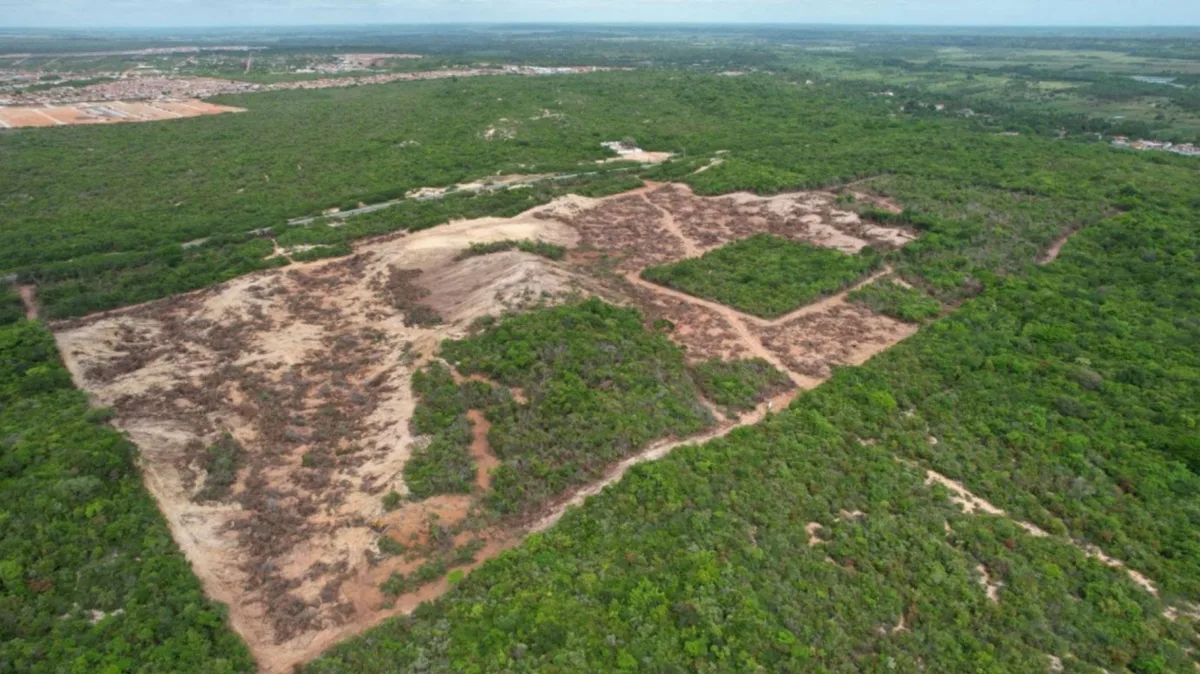 MP aponta desmatamento de Mata Atlântica para complexo em Extremoz