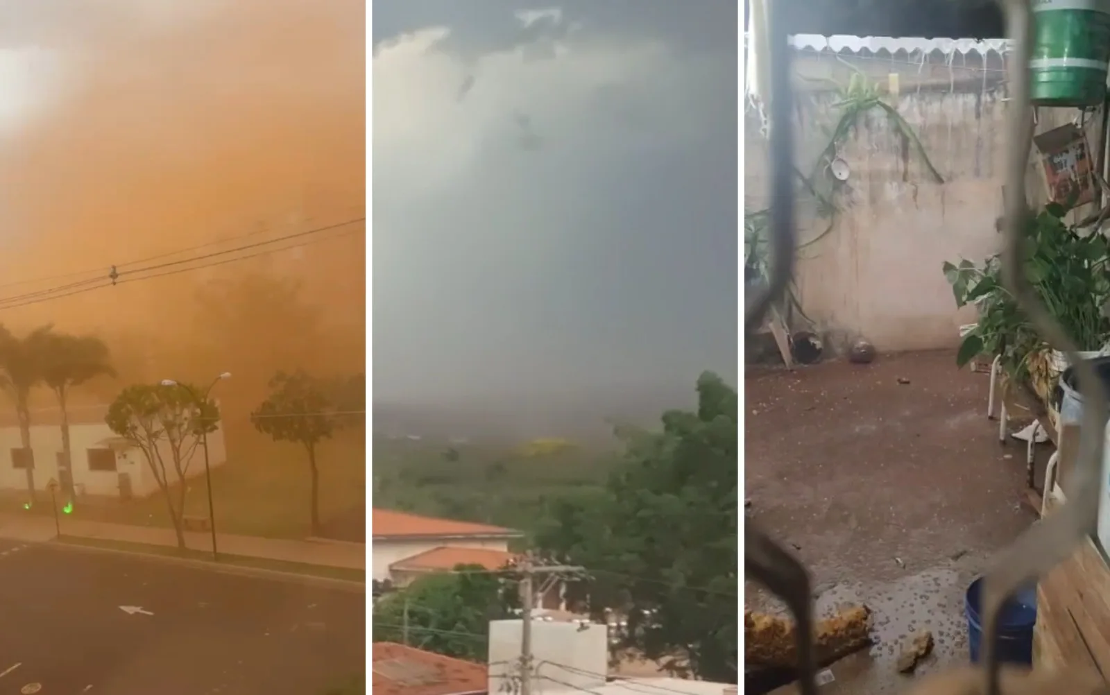 Rajadas chegam a 65 km/h e previsão indica mais chuva na região de Ribeirão Preto