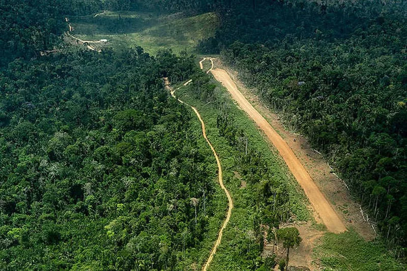 APA estadual sobrepõe terra indígena com povo isolado no Pará