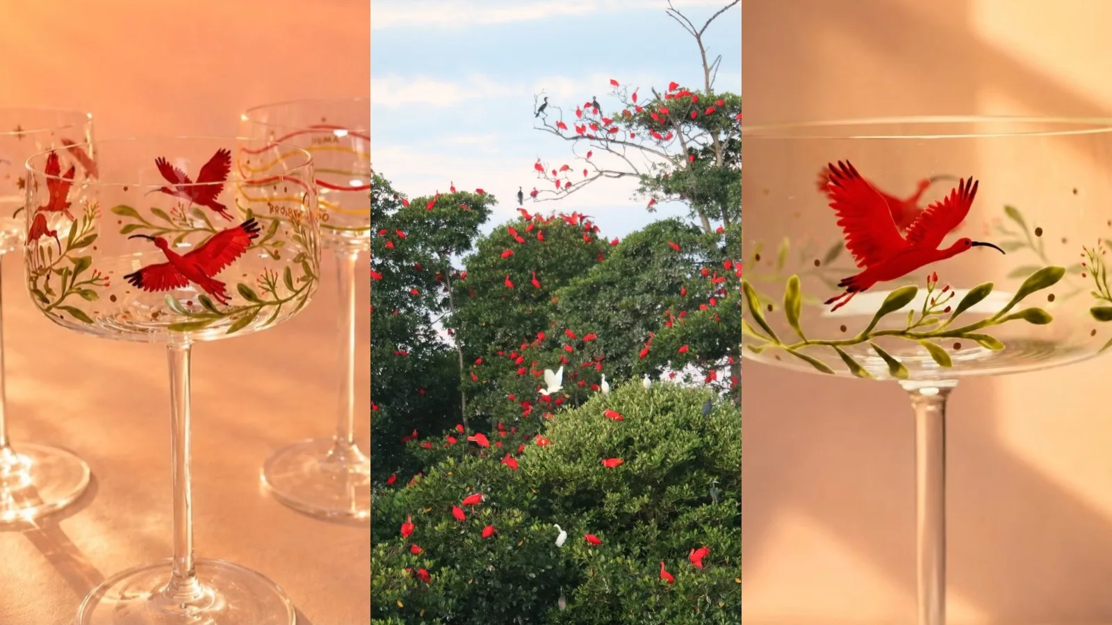 Artesã do Piauí transforma revoada de guarás em pinturas sobre taças